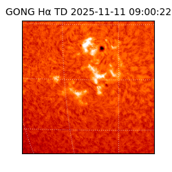 gong - 2025-11-11T09:00:22