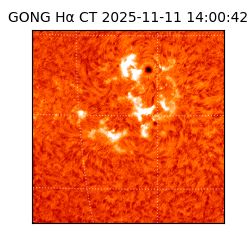 gong - 2025-11-11T14:00:42