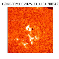 gong - 2025-11-11T01:00:42