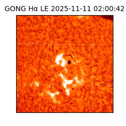 gong - 2025-11-11T02:00:42