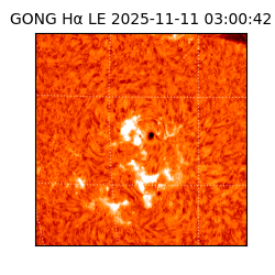 gong - 2025-11-11T03:00:42