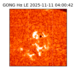 gong - 2025-11-11T04:00:42