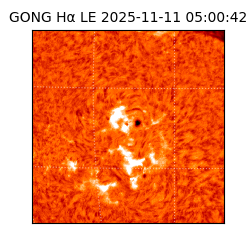 gong - 2025-11-11T05:00:42