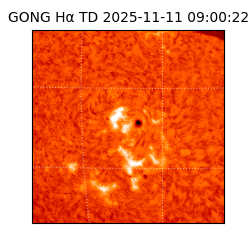 gong - 2025-11-11T09:00:22
