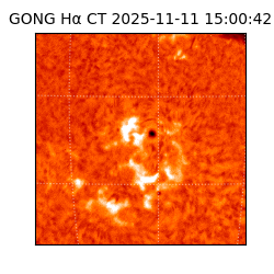 gong - 2025-11-11T15:00:42