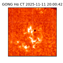 gong - 2025-11-11T20:00:42