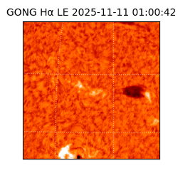 gong - 2025-11-11T01:00:42