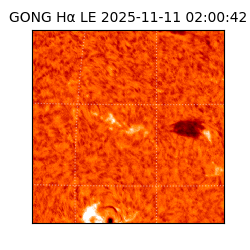 gong - 2025-11-11T02:00:42