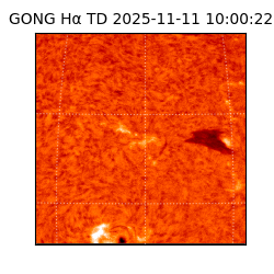 gong - 2025-11-11T10:00:22