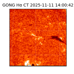 gong - 2025-11-11T14:00:42