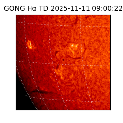 gong - 2025-11-11T09:00:22