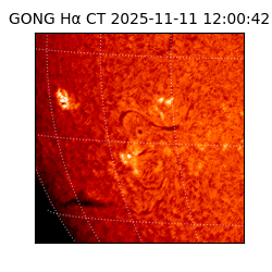 gong - 2025-11-11T12:00:42