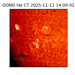 gong - 2025-11-11T14:00:42