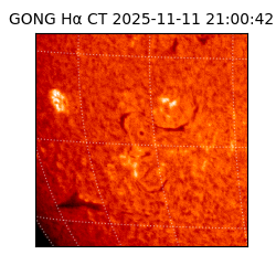 gong - 2025-11-11T21:00:42