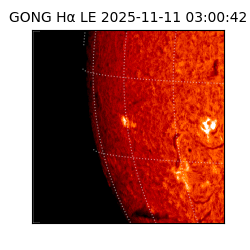 gong - 2025-11-11T03:00:42
