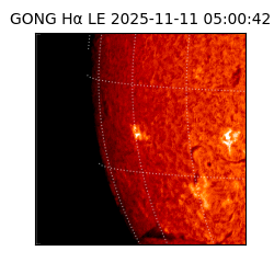 gong - 2025-11-11T05:00:42