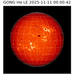 gong - 2025-11-11T00:00:42