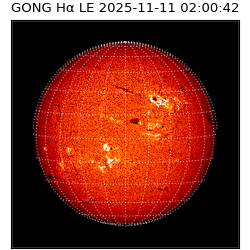 gong - 2025-11-11T02:00:42