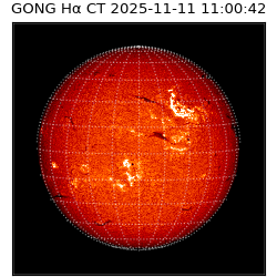 gong - 2025-11-11T11:00:42