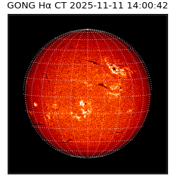 gong - 2025-11-11T14:00:42