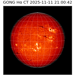 gong - 2025-11-11T21:00:42
