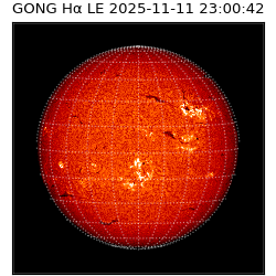 gong - 2025-11-11T23:00:42