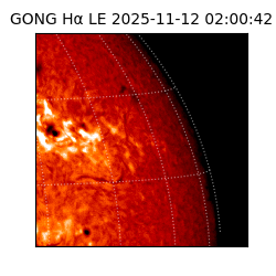 gong - 2025-11-12T02:00:42