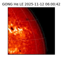 gong - 2025-11-12T06:00:42