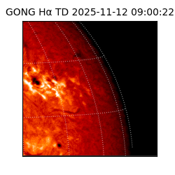 gong - 2025-11-12T09:00:22