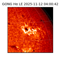 gong - 2025-11-12T04:00:42