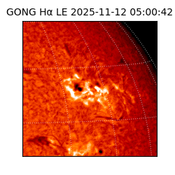 gong - 2025-11-12T05:00:42