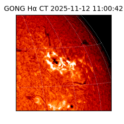 gong - 2025-11-12T11:00:42