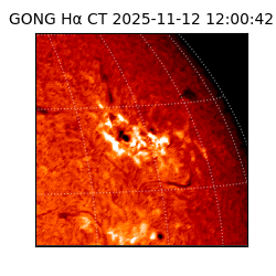 gong - 2025-11-12T12:00:42