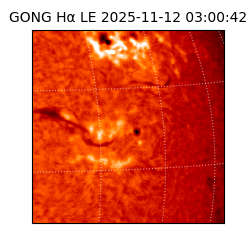 gong - 2025-11-12T03:00:42