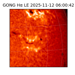 gong - 2025-11-12T06:00:42