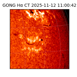 gong - 2025-11-12T11:00:42