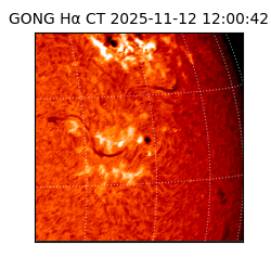 gong - 2025-11-12T12:00:42