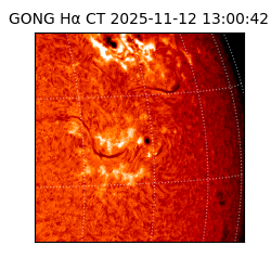 gong - 2025-11-12T13:00:42
