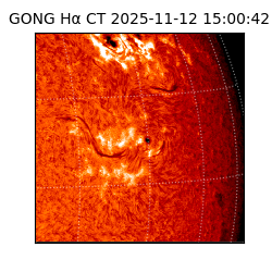 gong - 2025-11-12T15:00:42