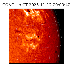 gong - 2025-11-12T20:00:42