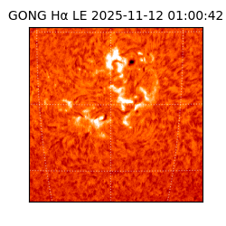 gong - 2025-11-12T01:00:42