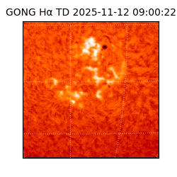 gong - 2025-11-12T09:00:22