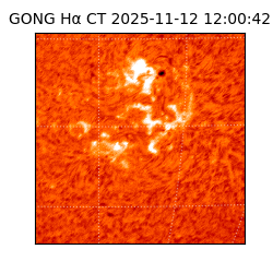 gong - 2025-11-12T12:00:42