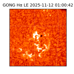 gong - 2025-11-12T01:00:42