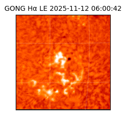 gong - 2025-11-12T06:00:42