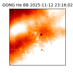 gong - 2025-11-12T23:16:02