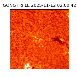 gong - 2025-11-12T02:00:42