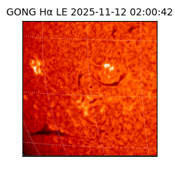 gong - 2025-11-12T02:00:42