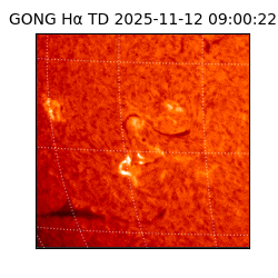 gong - 2025-11-12T09:00:22