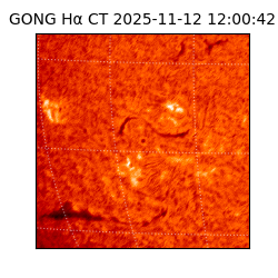 gong - 2025-11-12T12:00:42